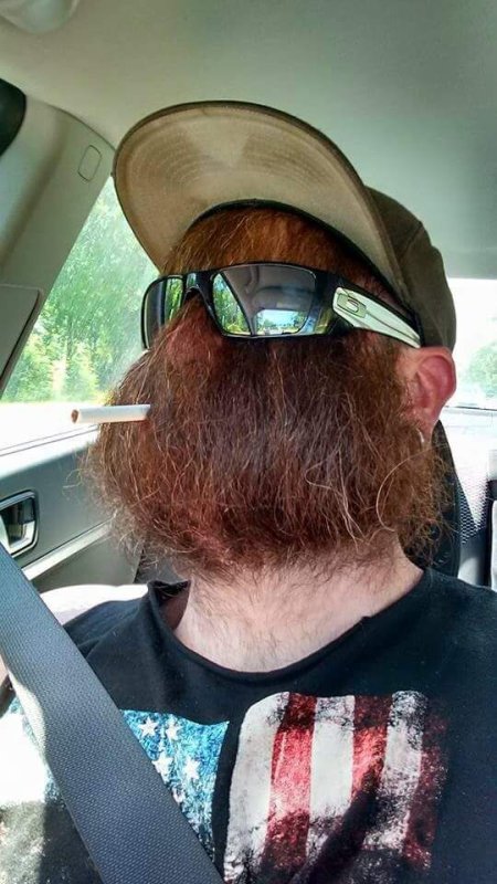 Странные бороды