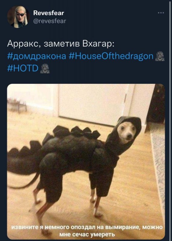 Опоздал на вымирание Мем
