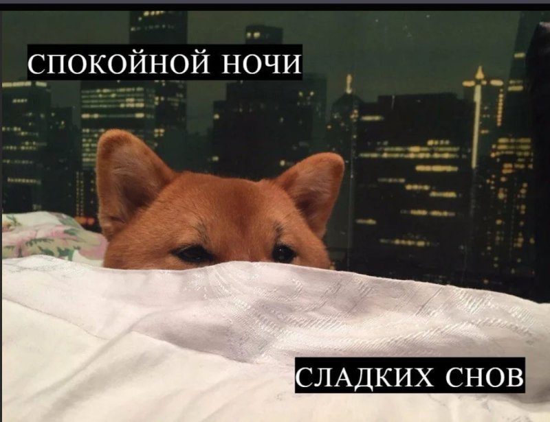 Милая пикча спокойной ночи