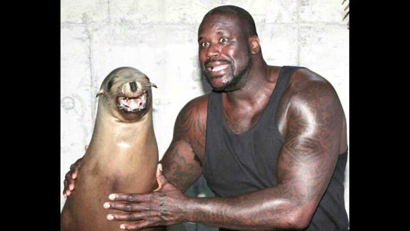 Негры ооооо