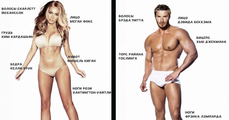 Идеальный мужчина по мнению женщин