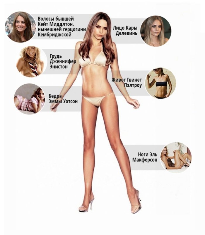 Идеальное мужское Телосложение по мнению девушек