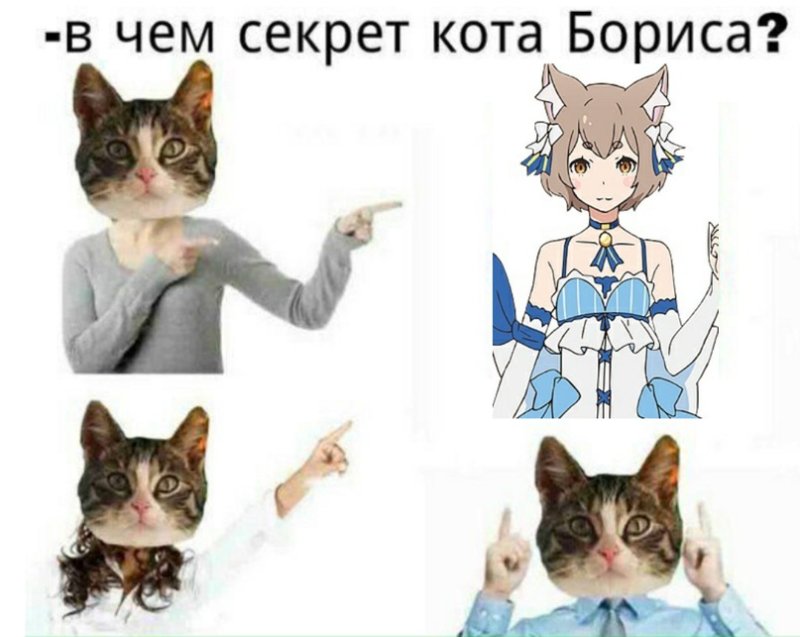 Секрет кота Бориса