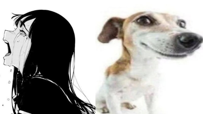 Джек Рассел