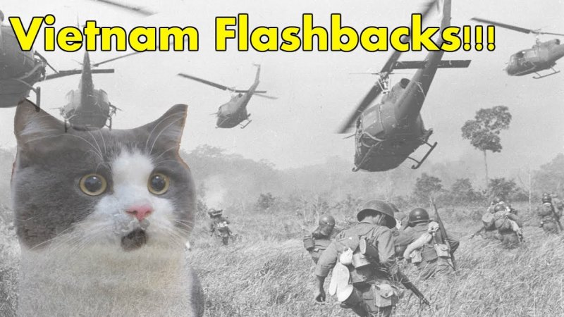 Кот флешбеки Вьетнам Мем