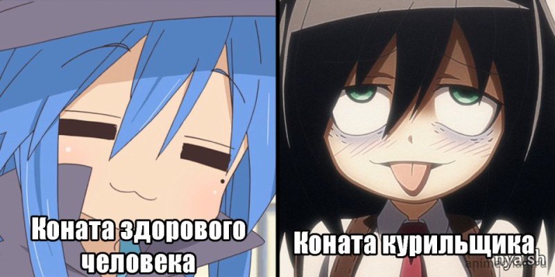 Аниме мемы приколы