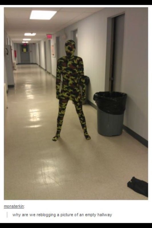 Мемы про камуфляж