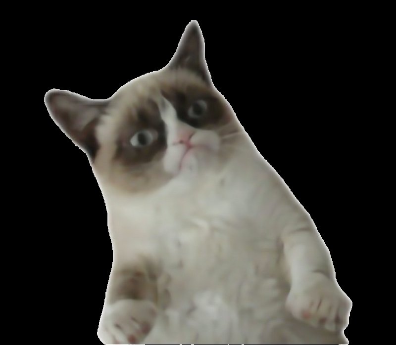 Кот без фона