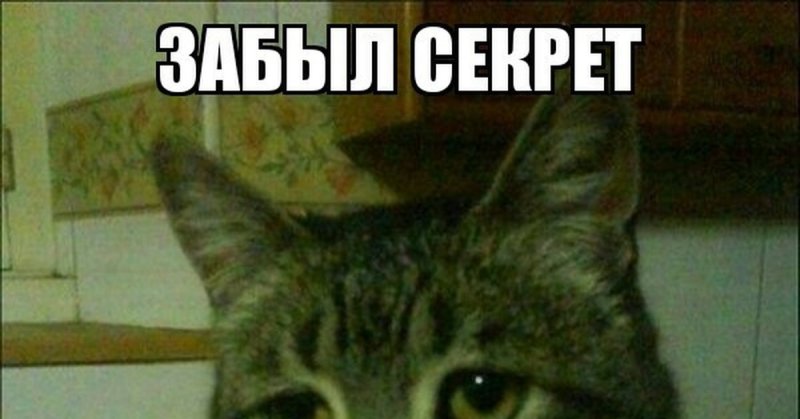 Кот Борис Мем