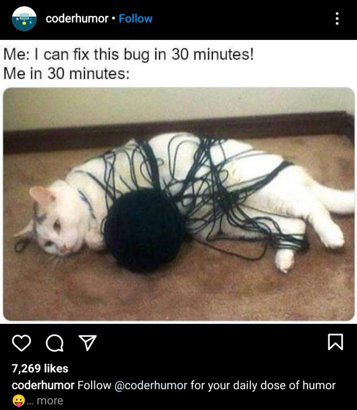 Играл с клубком проиграл