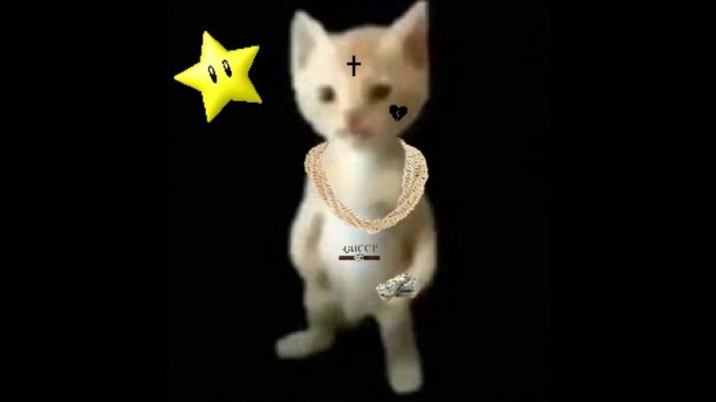 Michael котенок