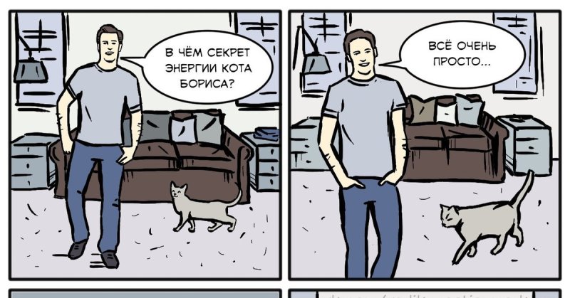 В чем секрет кота Бориса