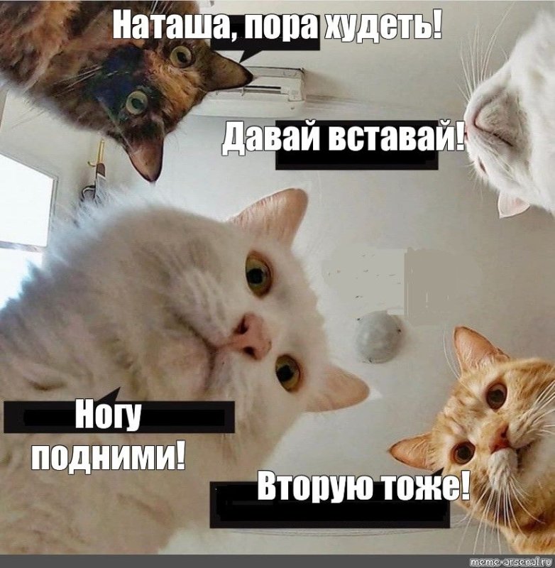 Катя вставай