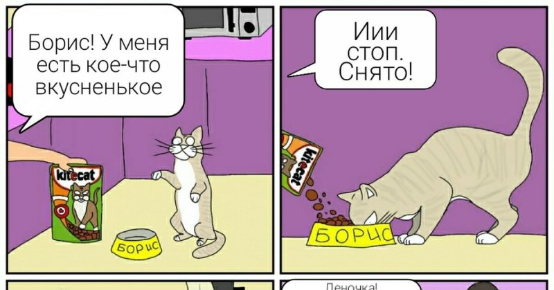 Реклама энергия кота Бориса