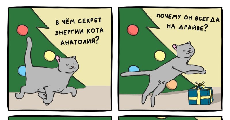 Энергия кота Бориса