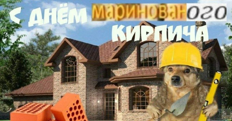 С днем бетона с собакой