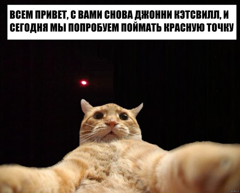 Джонни Кэтсвилл шарундуллы