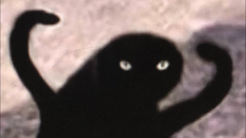 Черный кот ЪЕ