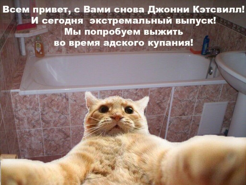 Джонни Кэтсвилл