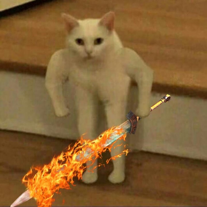 Кот с ножом