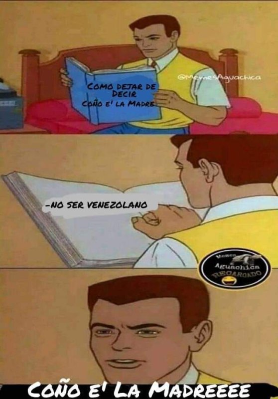 Читает книгу Мем