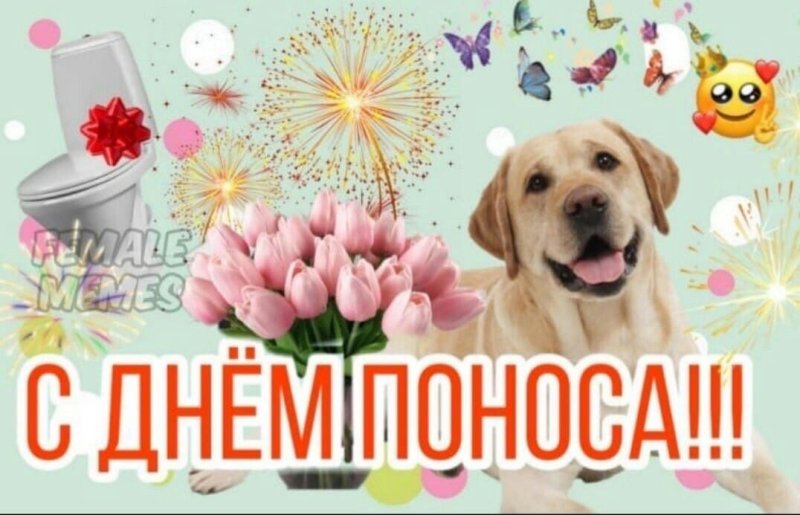 С днём дня Мем с собакой