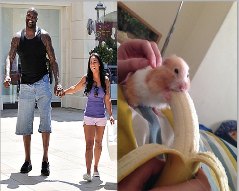 Шакил о'Нил с женой