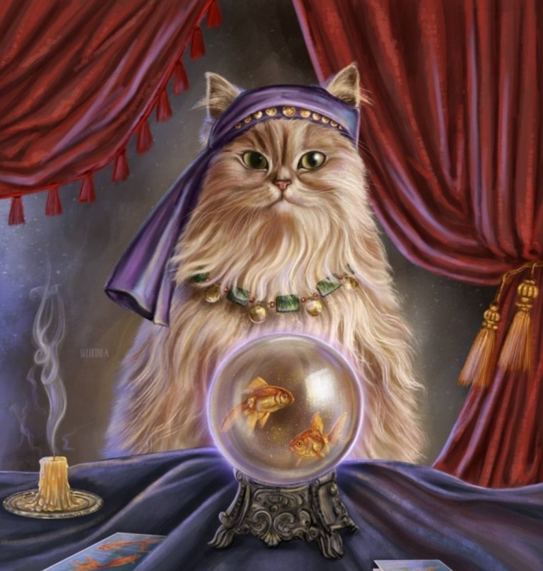 Котик ясновидящий