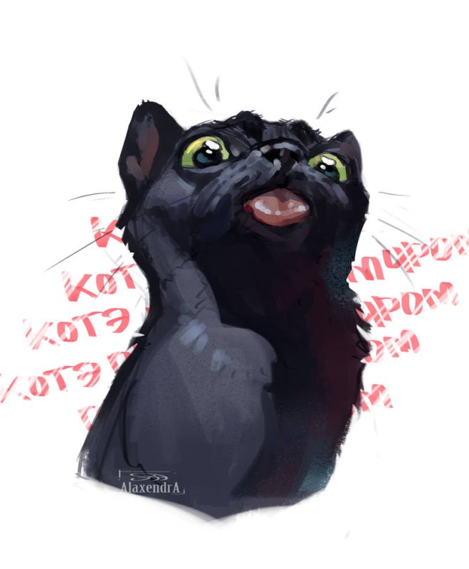 Черный кот с высунутым языком Мем