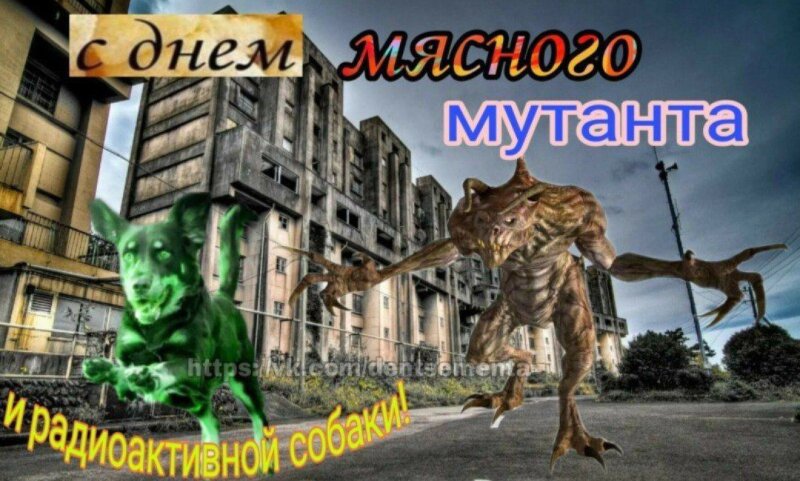 С днем Мем с собакой