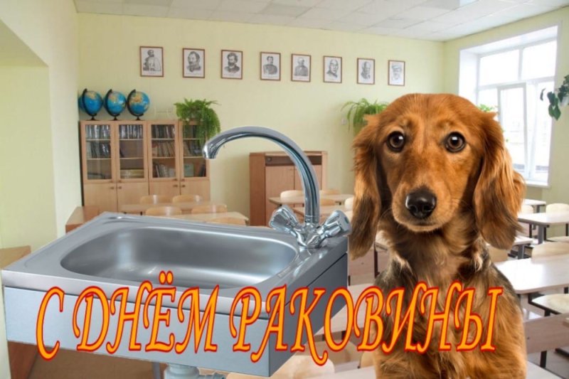 С днём дня Мем с собакой