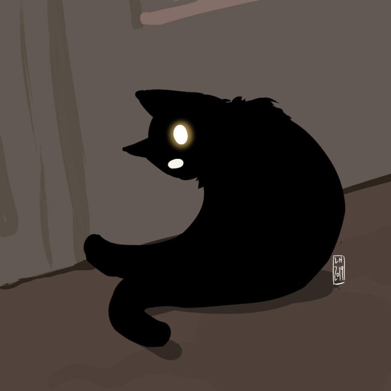 Черный кот Мем