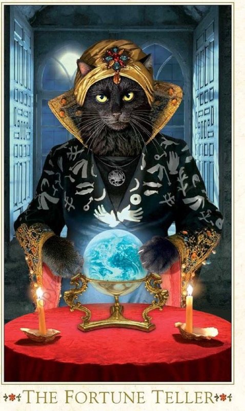 Кошачье Таро