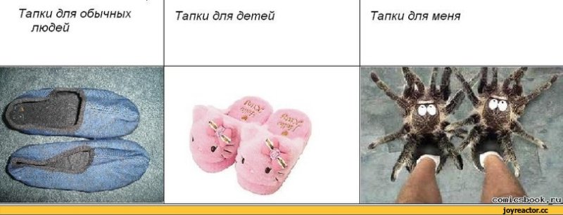 Смешные тапочки