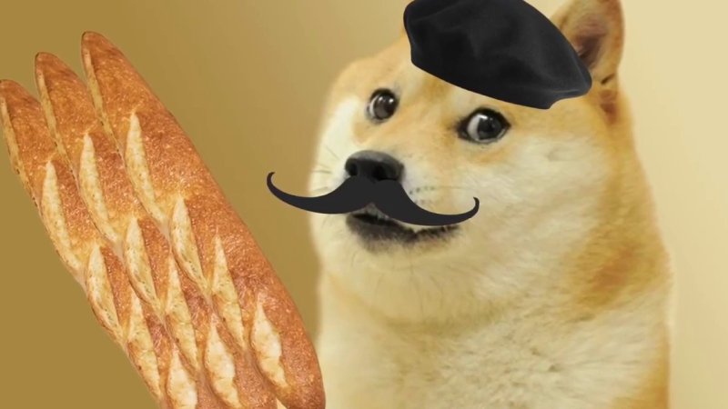 Doge собака