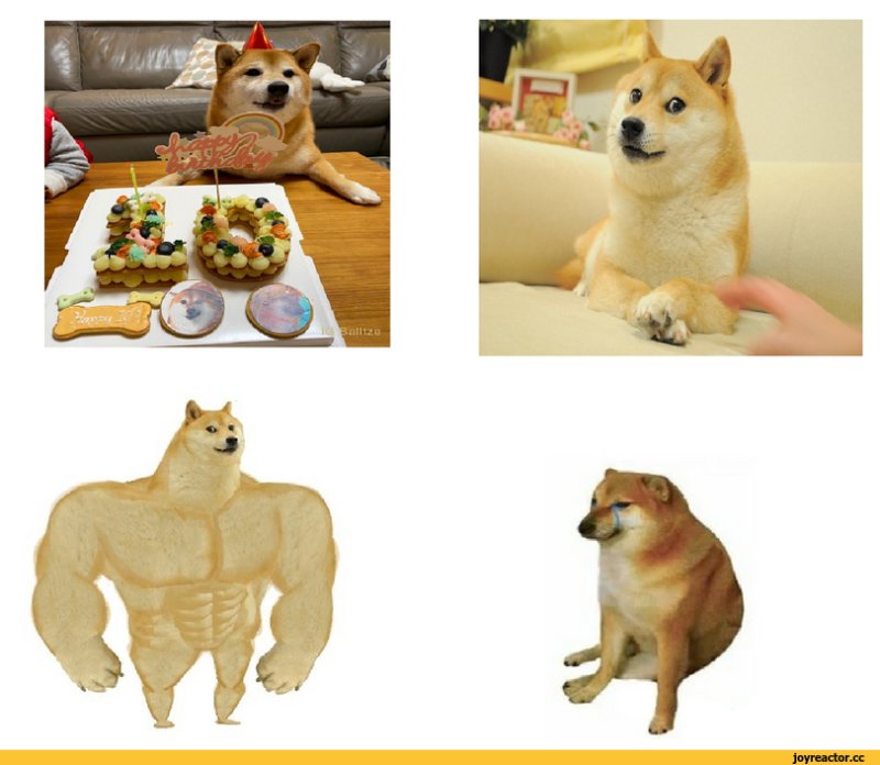 Шиба ину Doge