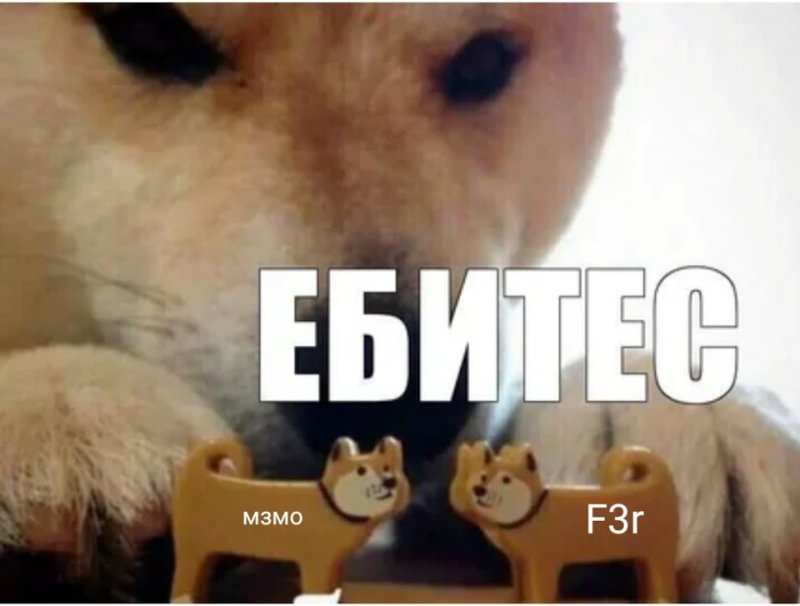 Сиба ину ебитес