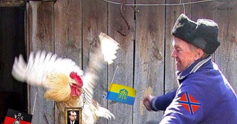 Пинок петуху