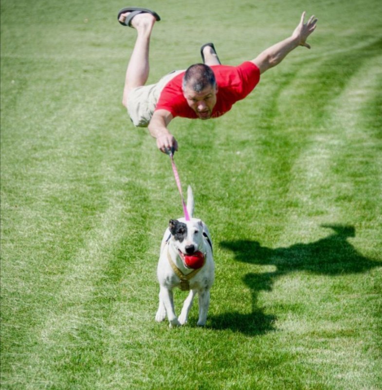 Хозяин бежит за собакой