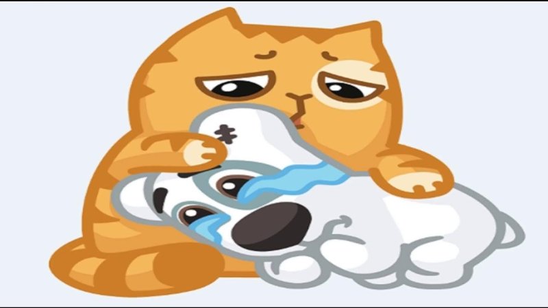 Кот персик и Спотти