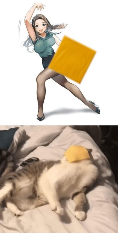 Девушка кидает хомяка Мем