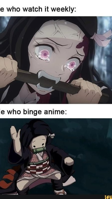 Мемы по аниме клинок рассекающий демонов