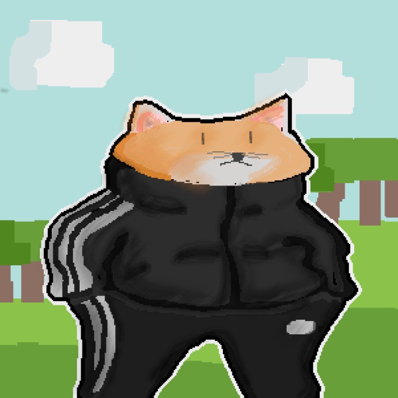 Кот в адидасе