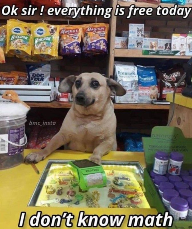 Собака продавец