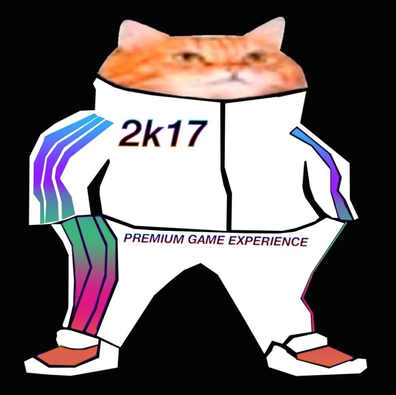 Кот в костюме адидас