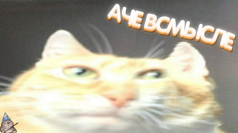 А че всмысле