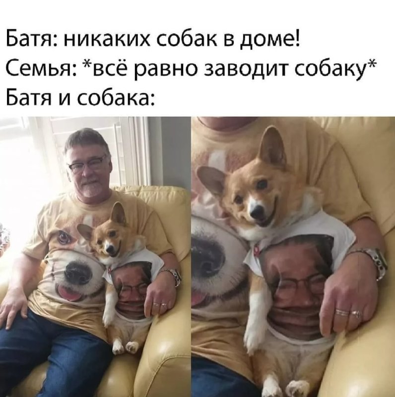 Отец и собака Мем
