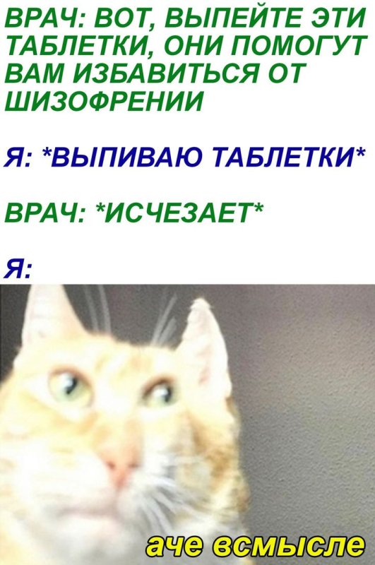 А че всмысле кот