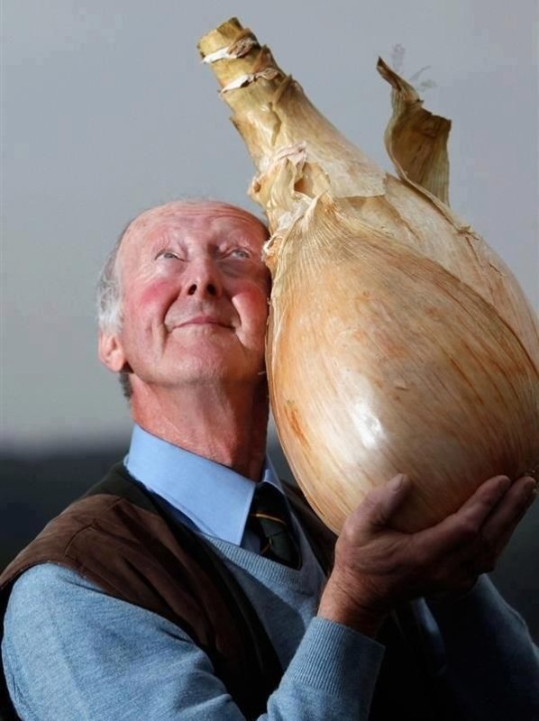 Самый большой овощ