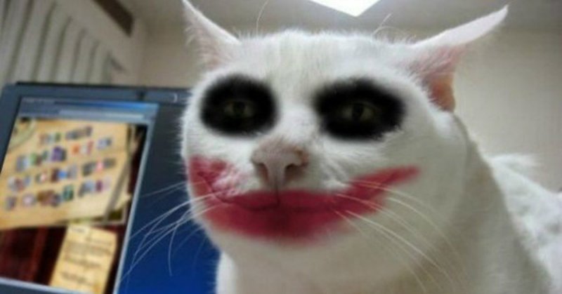 Накрашенные коты